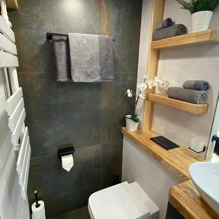 Luxury Apartment
