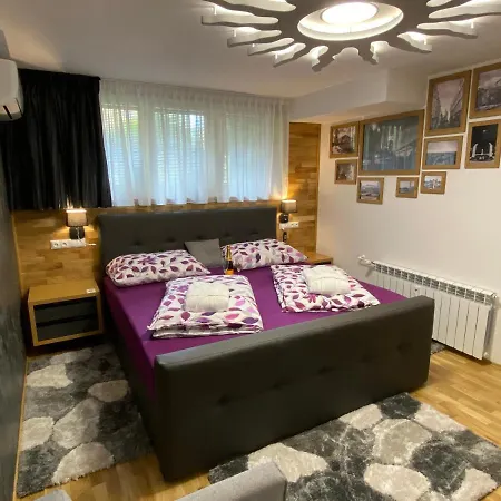 Luxury Apartment