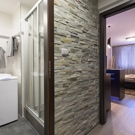 Luxury Apartment *